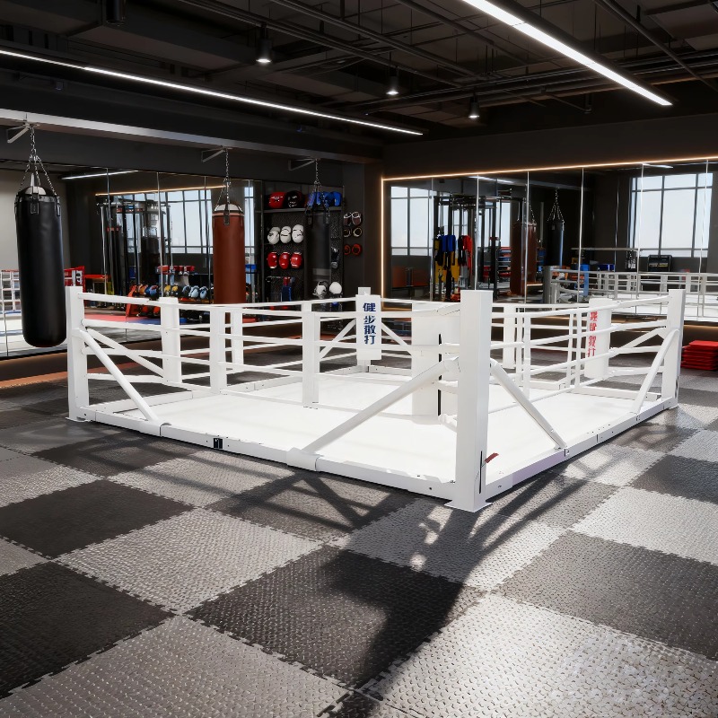 Ensemble de ring de boxe pliab - Home Gym Set avis et prix